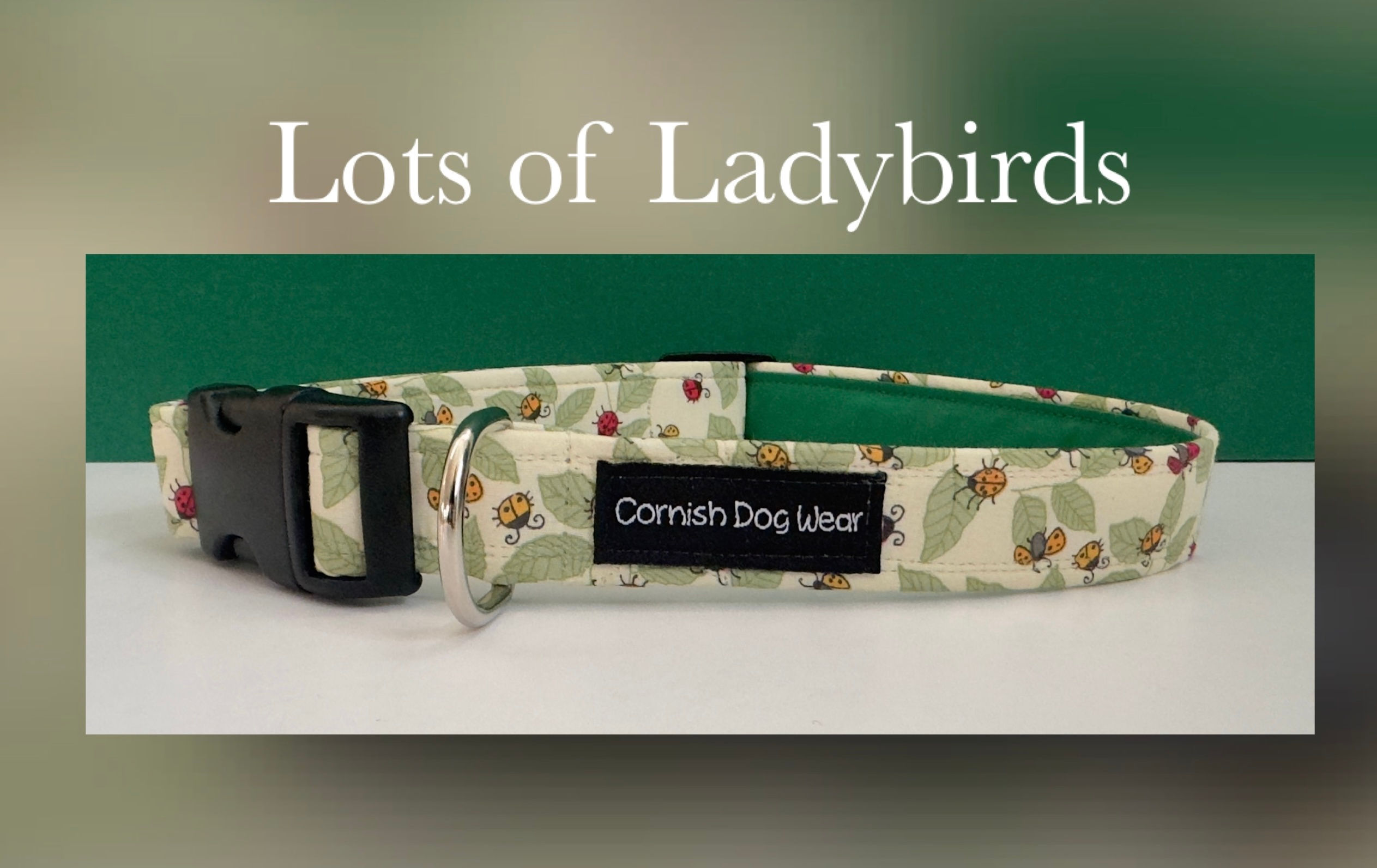 Lots of Ladybirds Dog Collar