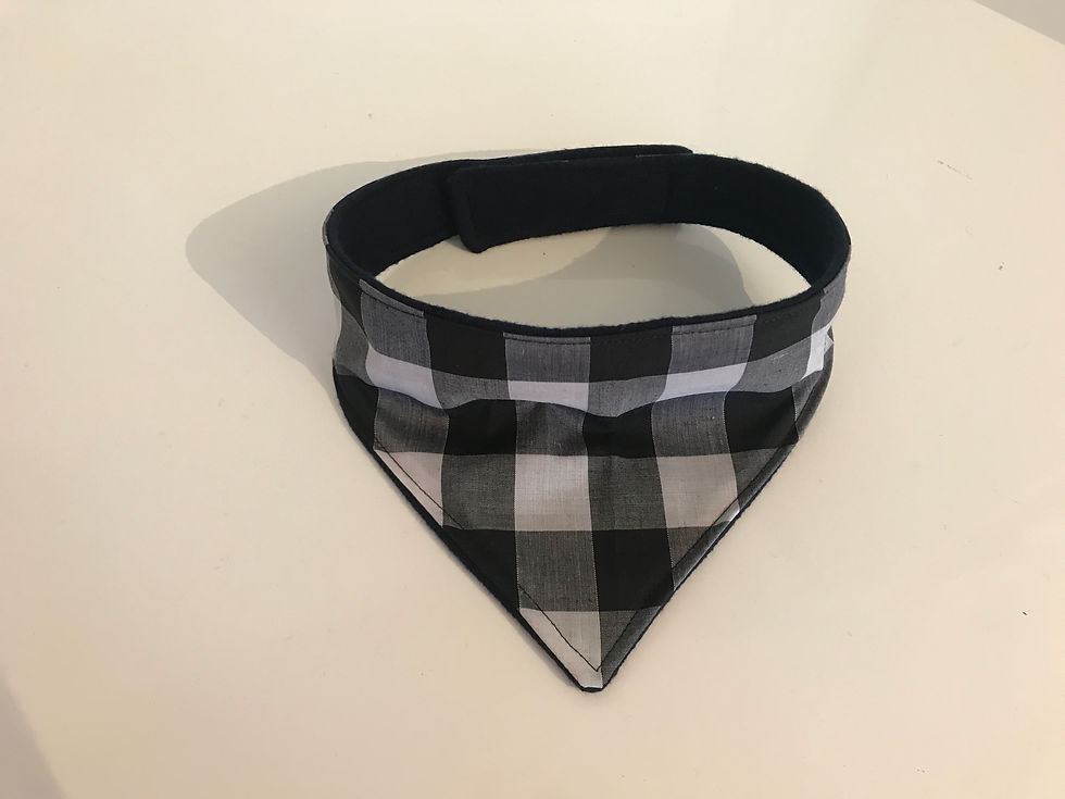 Black Gingham Dog Bandana