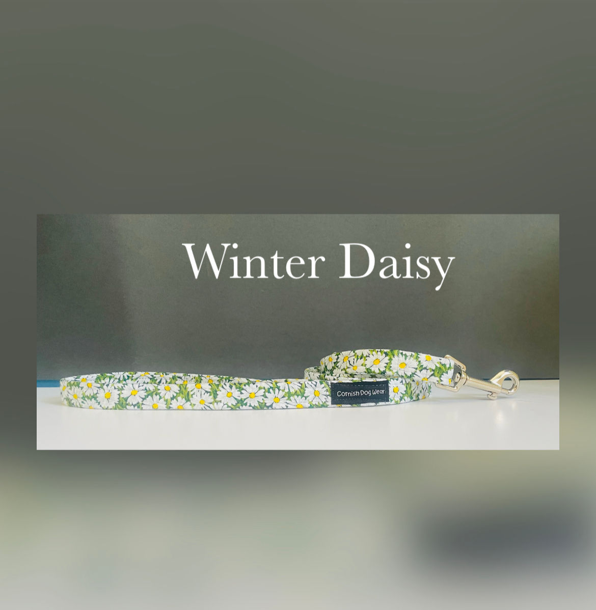Winter Daisy Dog Lead