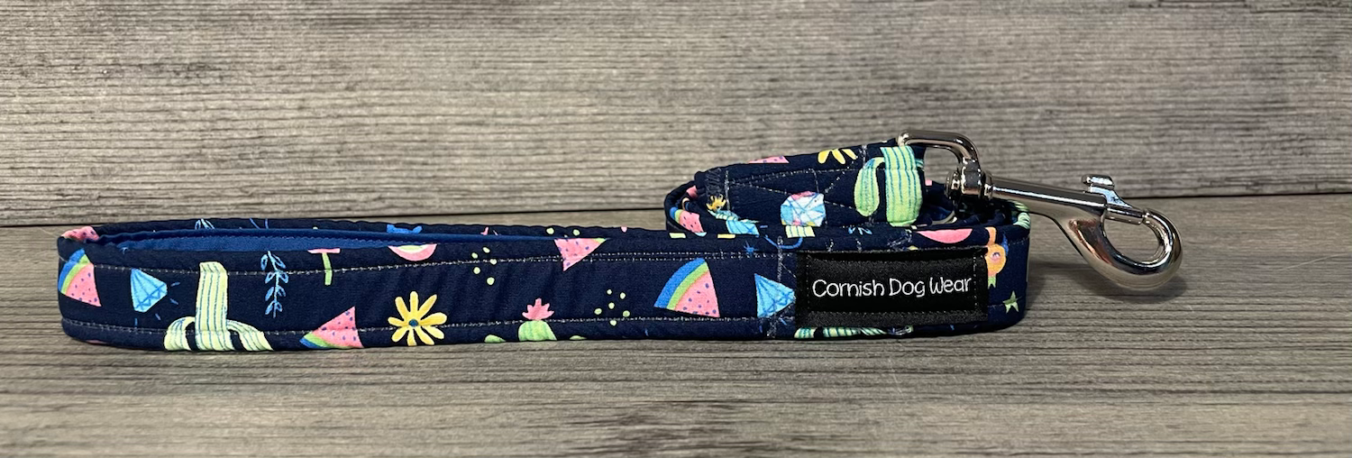 Holiday Fun Dog Lead