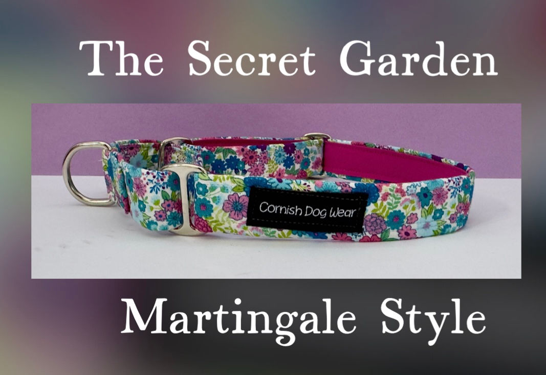 The Secret Garden Martingale fabric Dog Collar