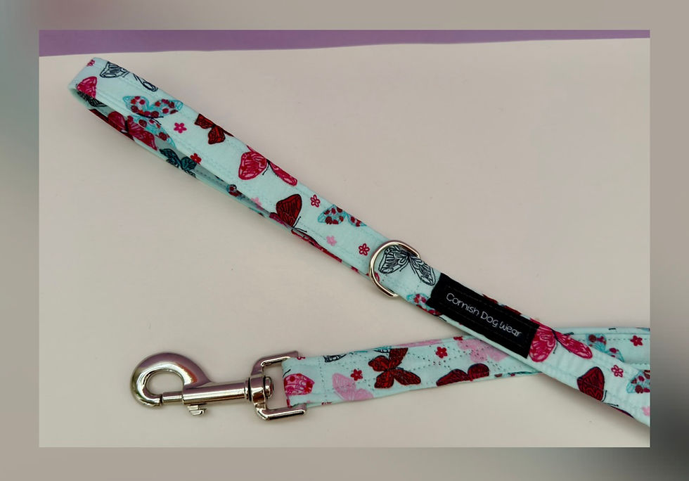 Thumbnail: Butterfly Kisses Dog Lead 