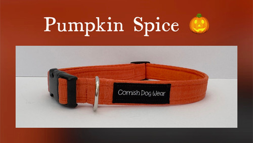 Pumpkin Spice fabric Dog Collar cornish-dog-wear