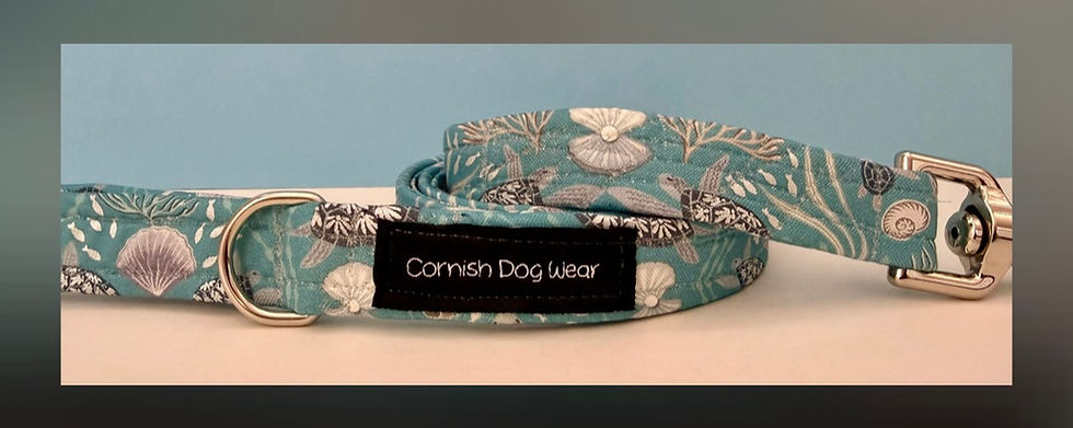 Thumbnail: Turtle Reef Dog Lead 