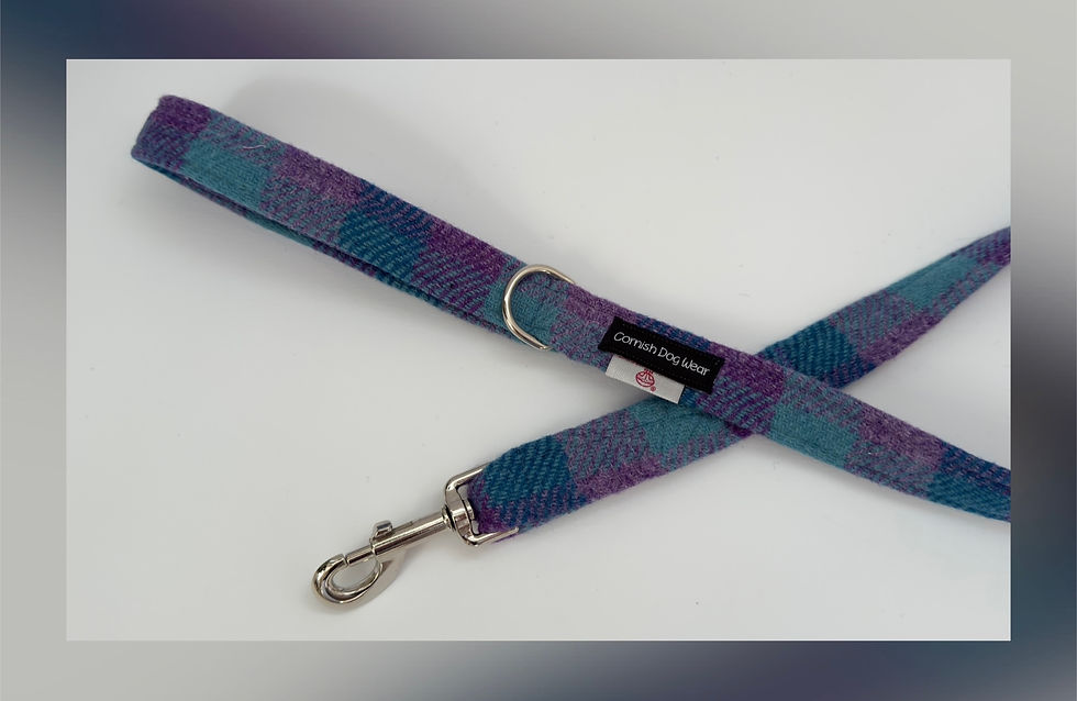 Thumbnail: Harris Tweed Blue and Purple Check Lead