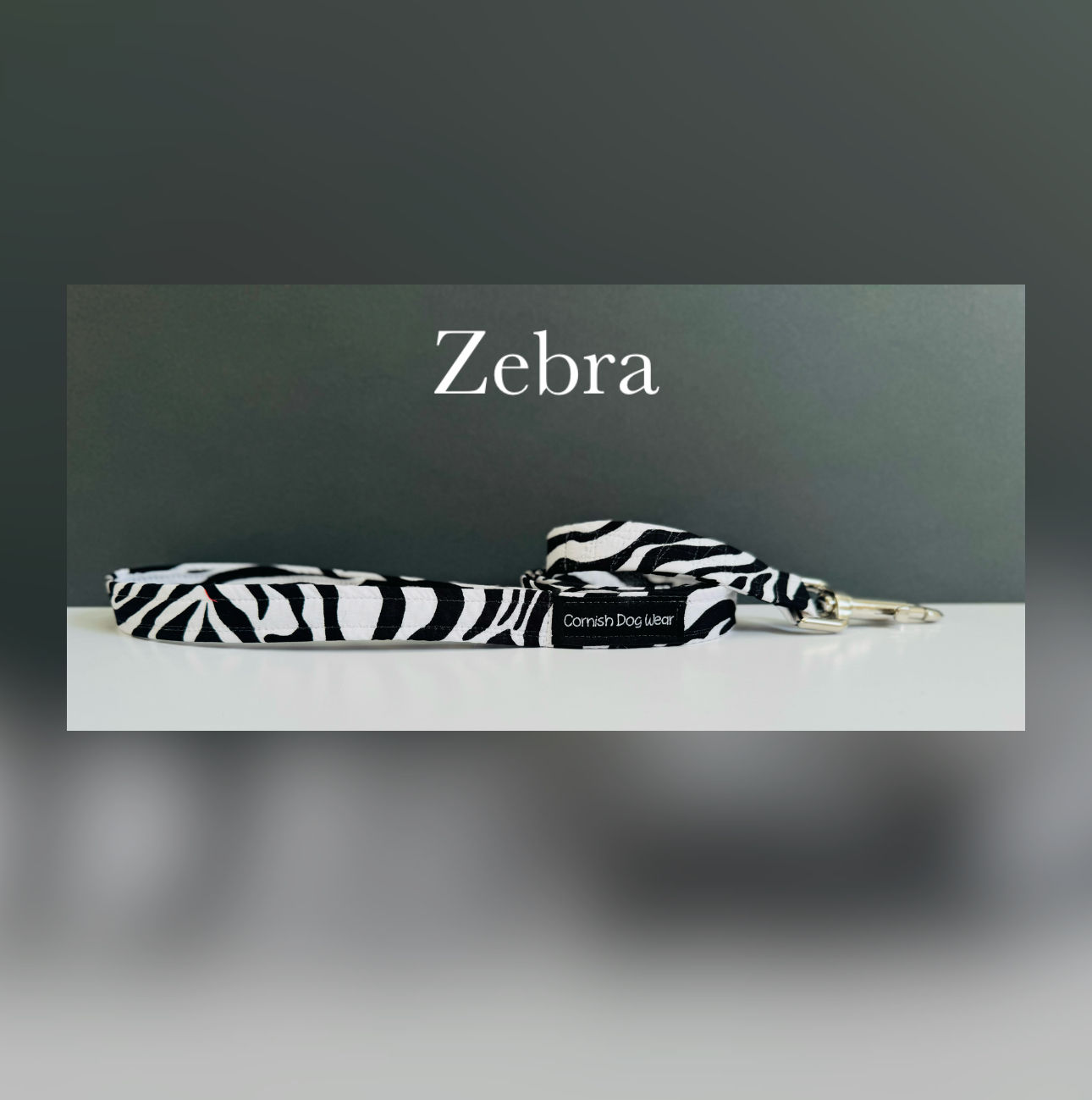 Zebra Print Dog Lead