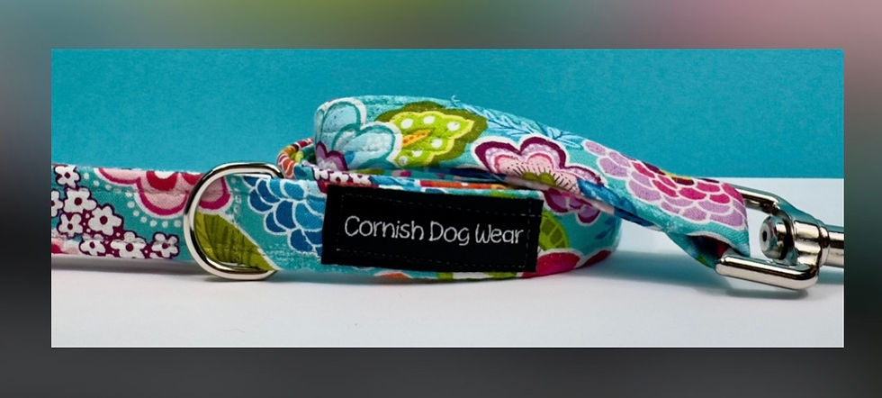 Thumbnail: Spring Serenity Dog Lead 