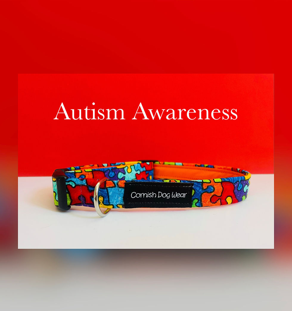Autism Awareness Dog Collar