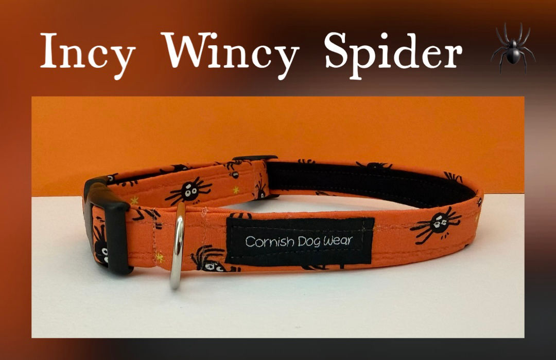 Incy Wincy Spider fabric Dog Collar