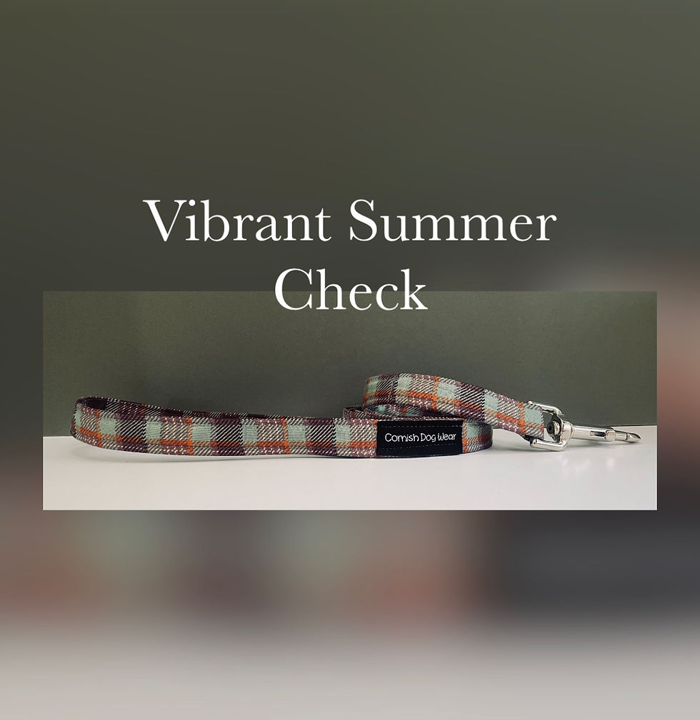 Vibrant Summer Check Dog Lead