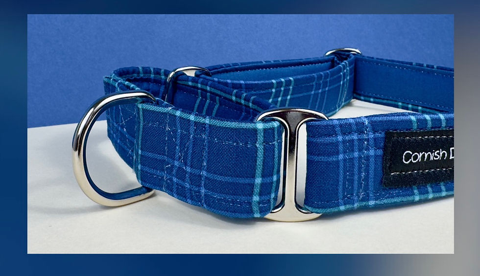 Thumbnail: Cornish Tide Martingale fabric Dog Collar 