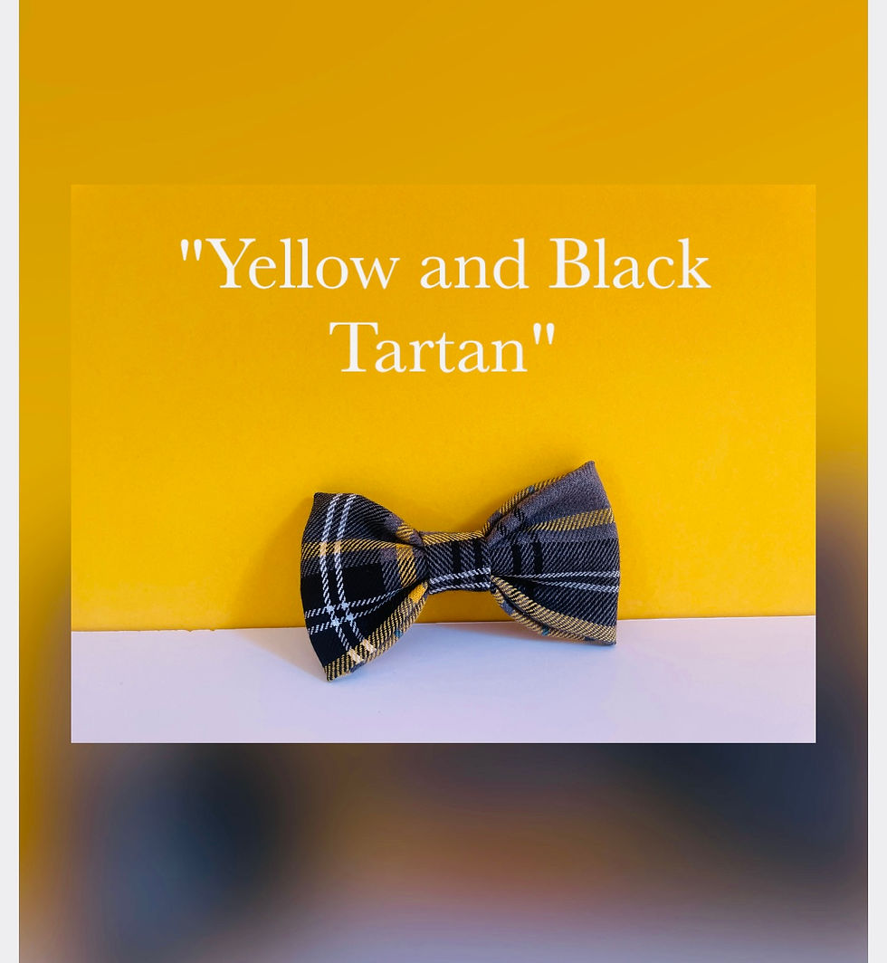 Thumbnail: Yellow and Black Tartan fabric Dog Collar 