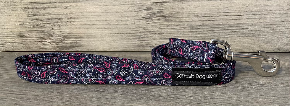 Paisley Dog Lead