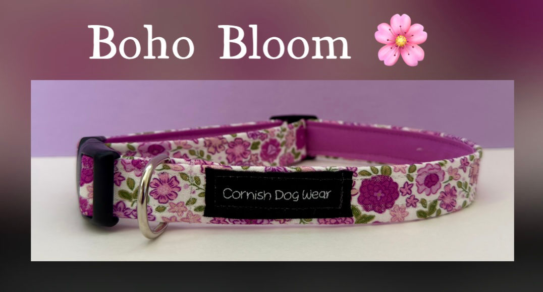 Boho Bloom fabric Dog Collar