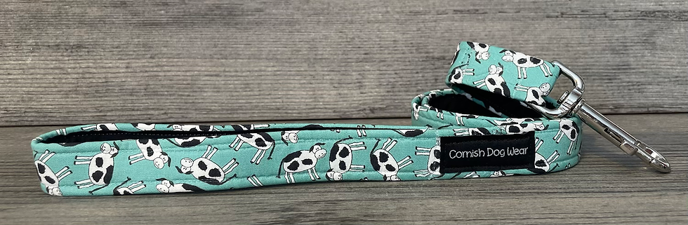 Cows on Turquoise Dog Lead