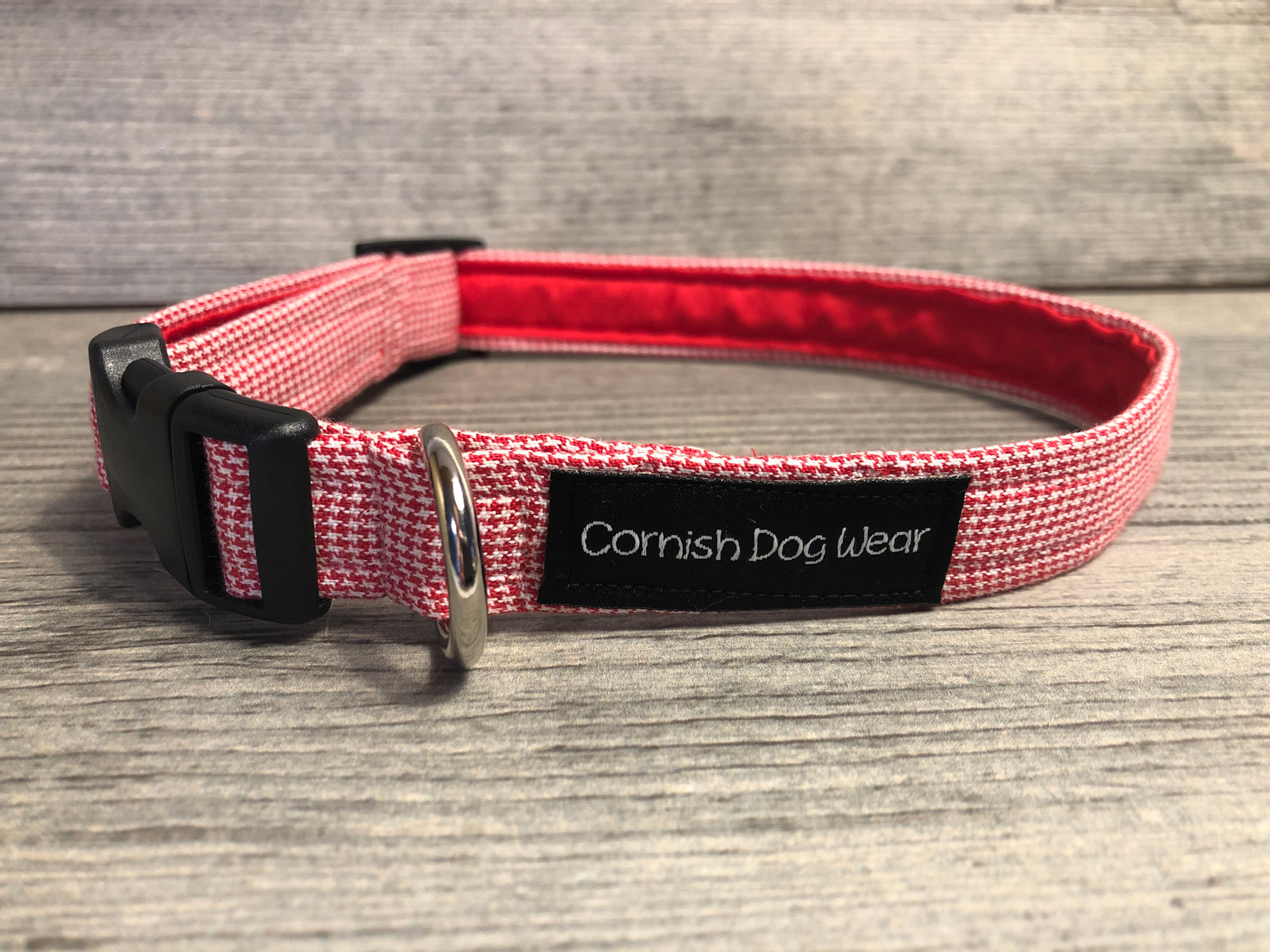 Cornish Dog Wear dog tooth collar