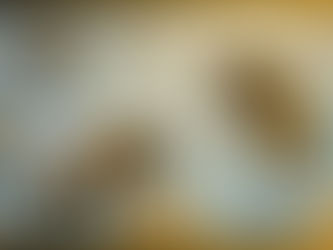 Arquétipo da Abelha e a Carta "O Mago" do Tarot