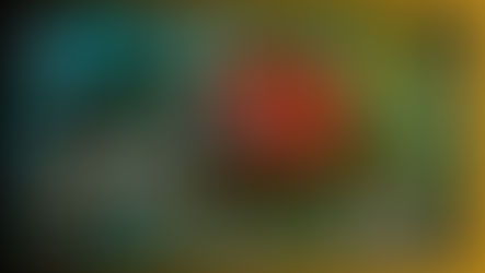 Arquétipo da Joaninha e a Rainha de Ouros do Tarot: Como Atraímos Sorte e Proteção