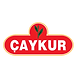 caykur-logo-png_seeklogo-27263.png