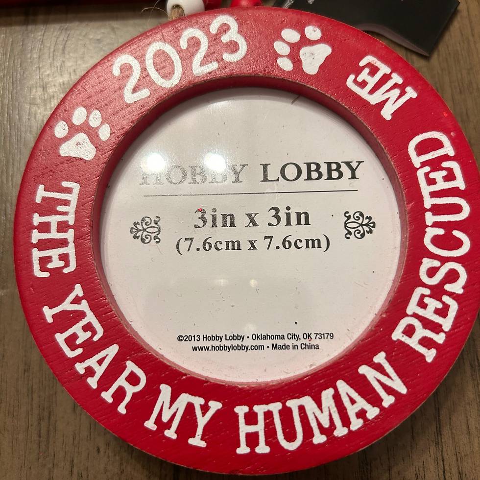 Thumbnail: Choose Your Ornament