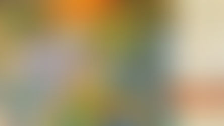 2024 波蘭藝術家展覽  | 德國🇩🇪