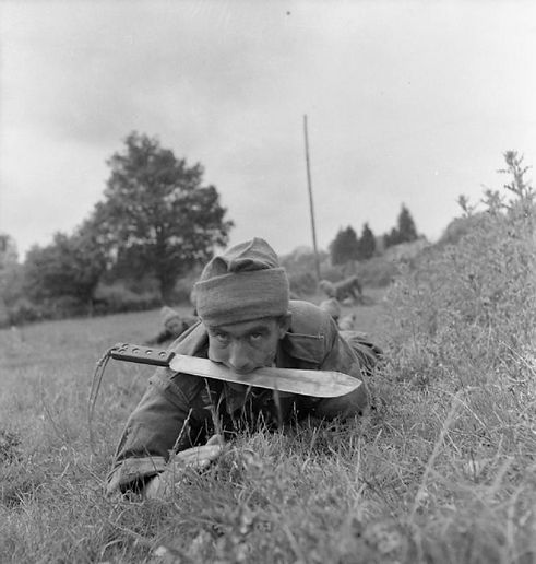0ffa1ab13b3729a6d01737040478d6c8--training-exercises-ww-tanks.jpg