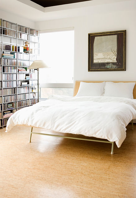 Ferminstein Cleaning Services