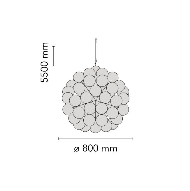 TARAXACUM 88 S1