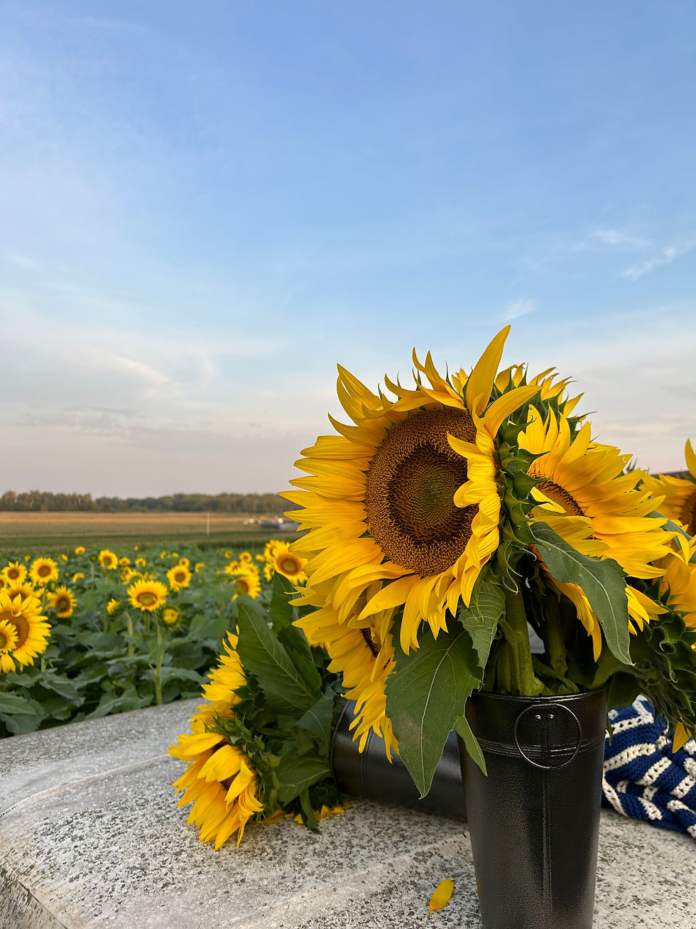 B208EB4C-7BA3-4AD3-9F18-4EF368C26FDC.jpeg