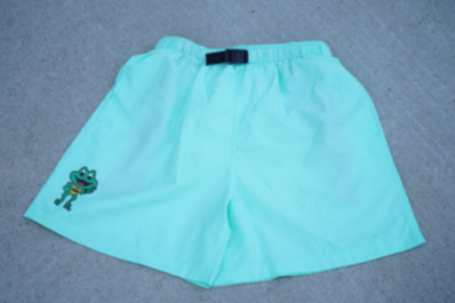 FRESH MINT GREEN SHORTS