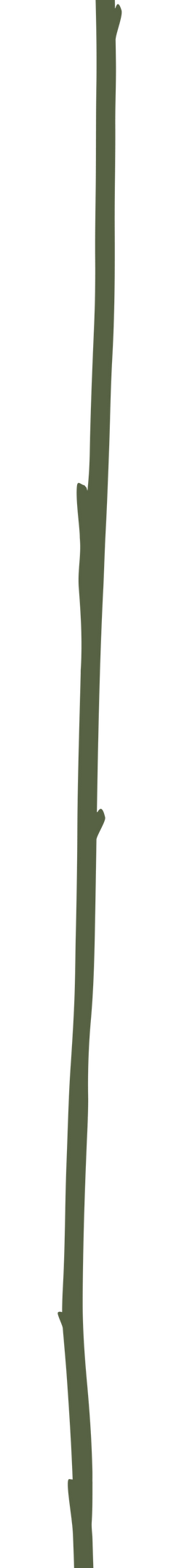 Website Sunflower-03.png