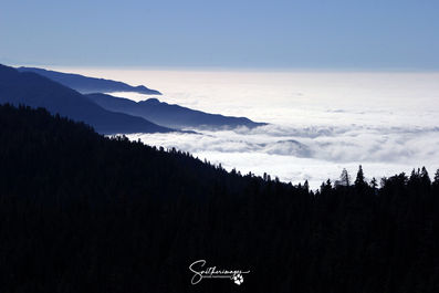 Sierra Nevada Fog