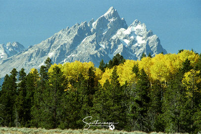 Tetons in Fall Color - #1