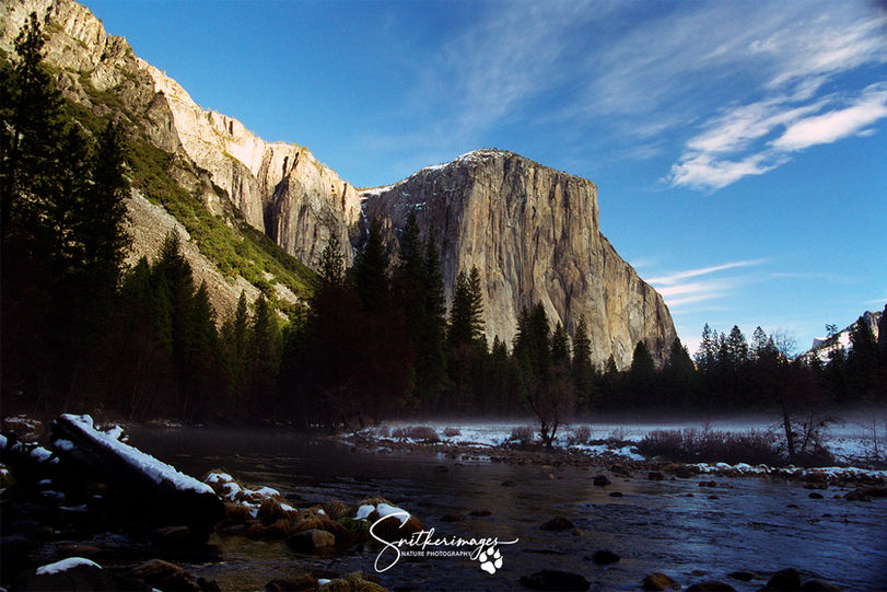 Yosemite National Park