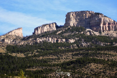 On The Road to Yellowstone