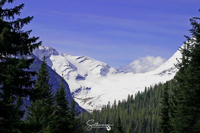 Banff Back Country - #1
