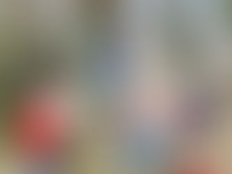 Vogelkästenaktion 2026