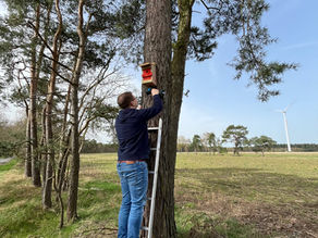 Vogelkästen aufhängen 2024