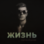 Жизнь-обложка.png