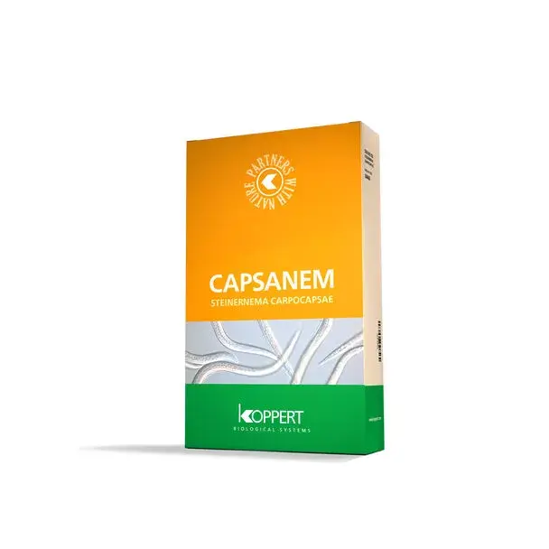 CAPSANEM