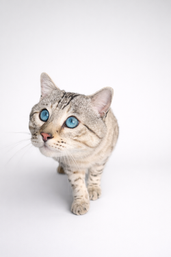 F5632346-B674-4AD5-888A-F7F95F95713E