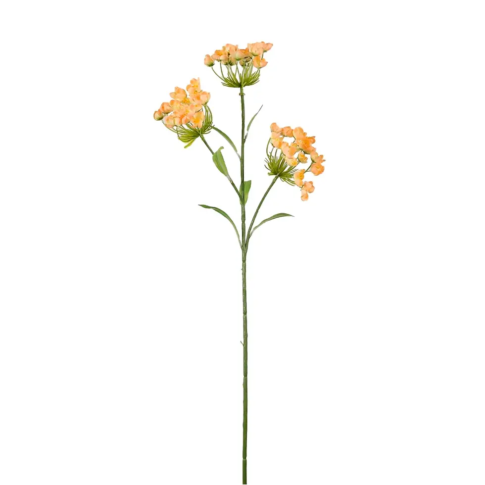 Thumbnail: Fairybell Allium Spray