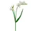 Thumbnail: Freesia Spray