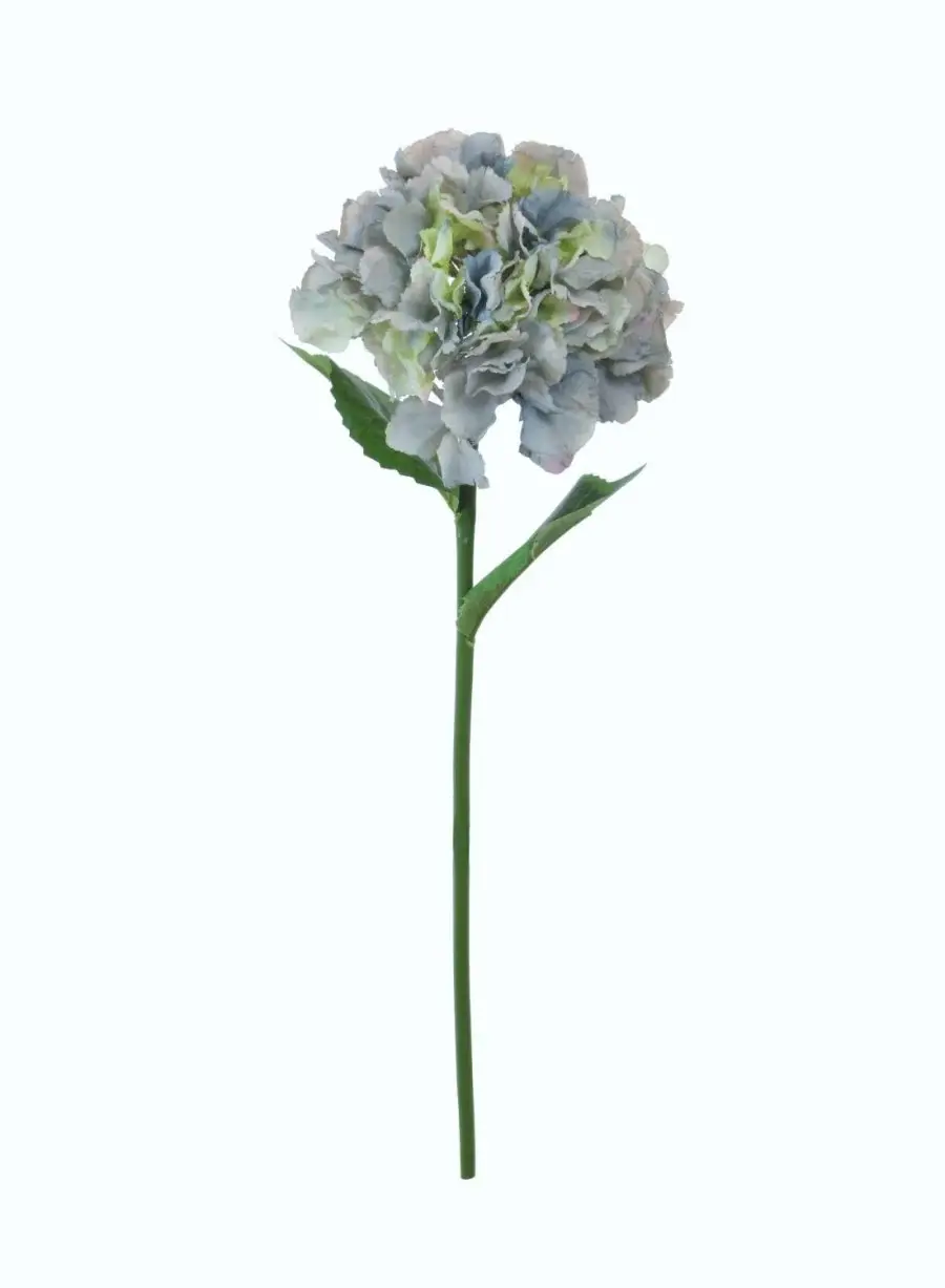 Thumbnail: French Hydrangea (short Stem)