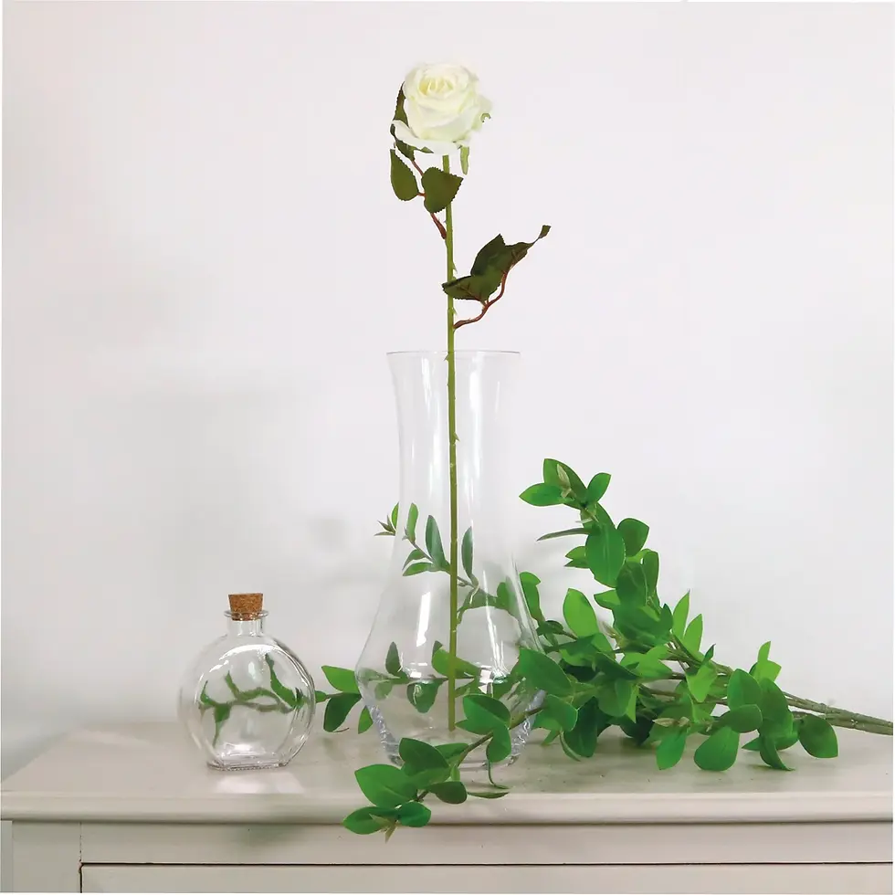 Thumbnail: Amira Rose Stem