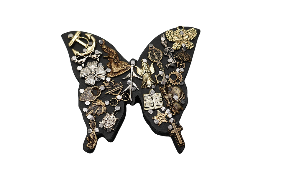 Thumbnail: Butterfly Milagro with an energy reading