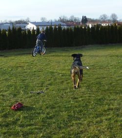 selbst das Fahrrad ist manchmal zu langsam