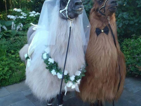 Planning for 'the big day'