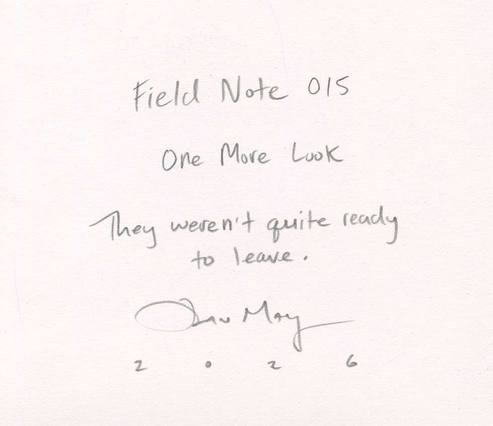 Thumbnail: Field Note 015 - One More Look (Original Drawing)