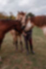 Equi-Etho